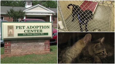 Alamance county animal shelter - Orange County Animal Services Needs Community Action. Orange County Animal Services (OCAS) currently has more than 500 animals under its umbrella of care, 329 physically at the shelter and an additional 184 in foster care. In response to the high volume of animals in the shelter's care, Animal Services is urgently …